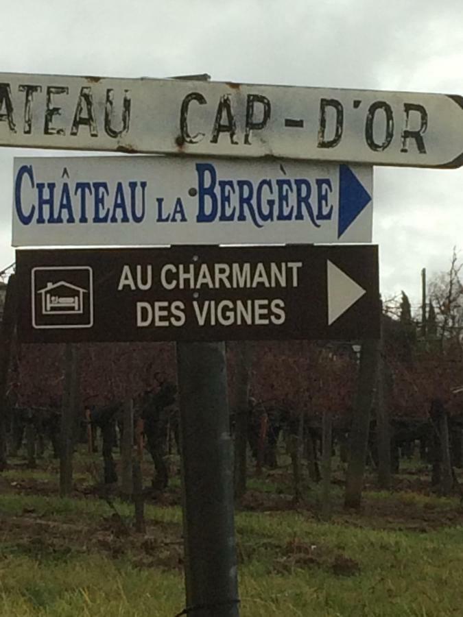 Au Charmant Des Vignes Montagne  Eksteriør bilde